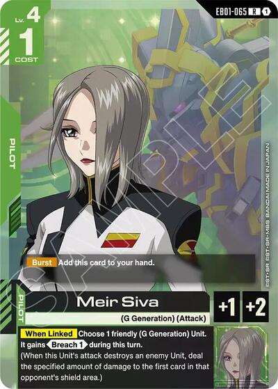 Meir Siva (EB01-065)