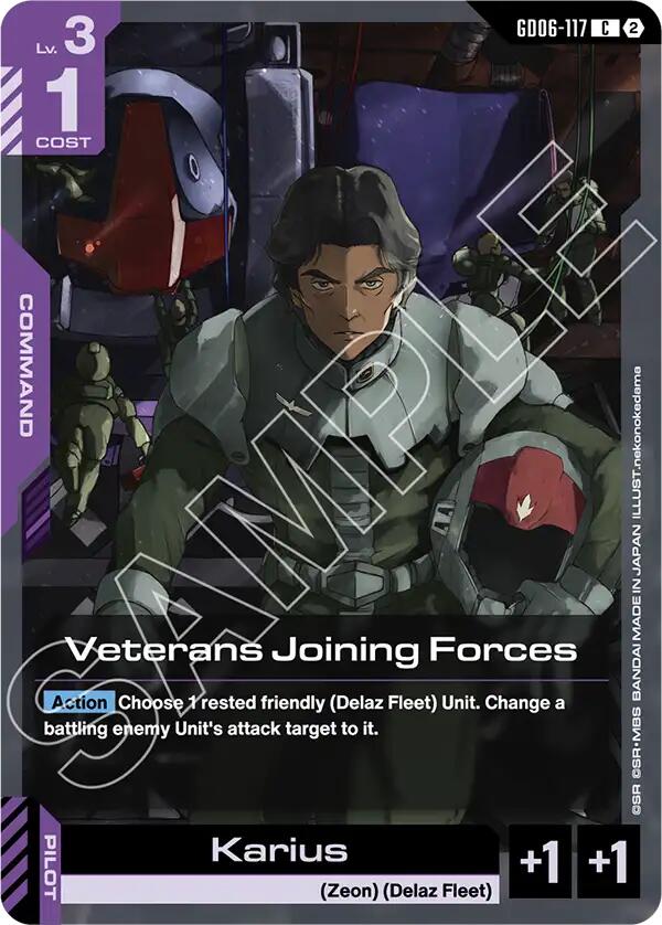Veterans Joining Forces (GD06-117)