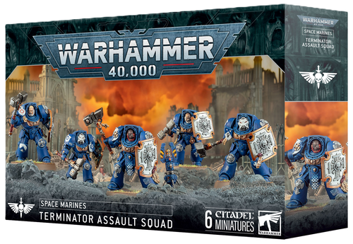 Space Marines: Terminator Assault Squad