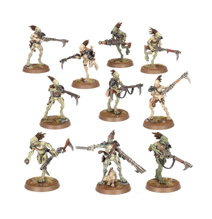 56-48 T'au Empire: Kroot Carnivore Squad