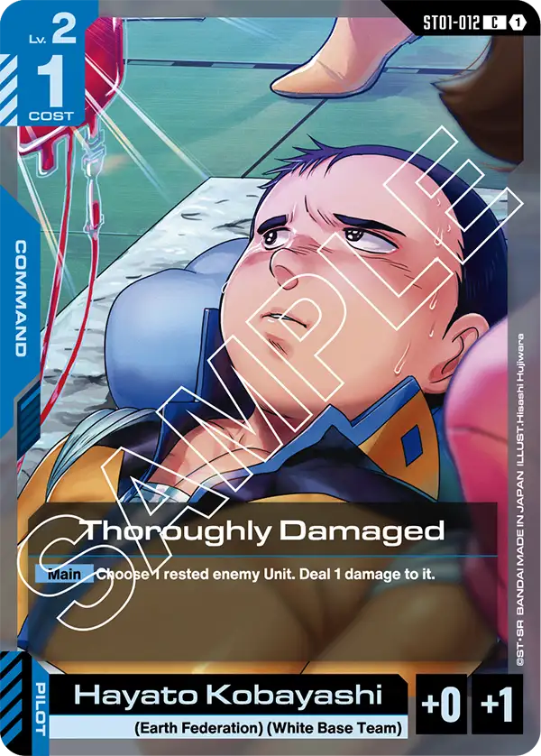 Thoroughly Damaged / Hayato (ST01-012)
