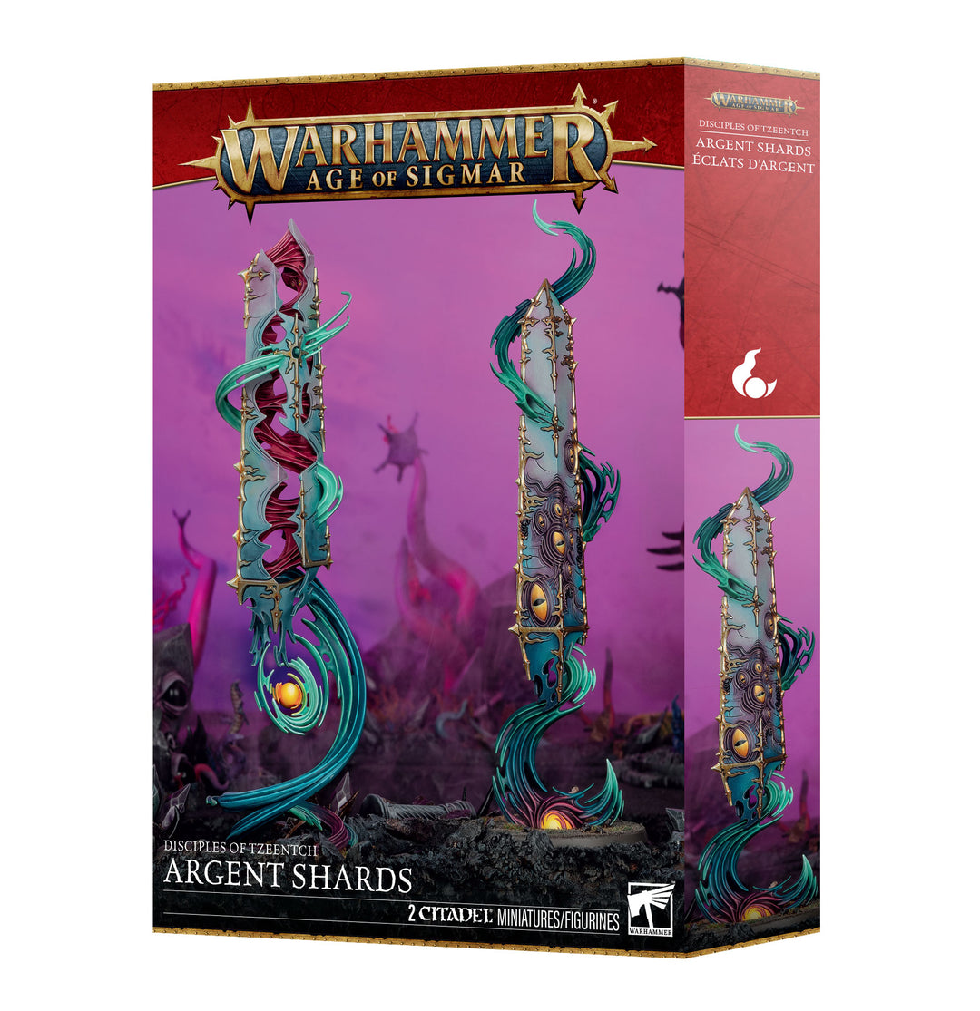 83-107 Disciples Of Tzeentch: Argent Shards